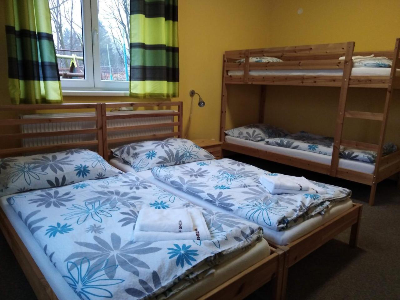 Sněženka *