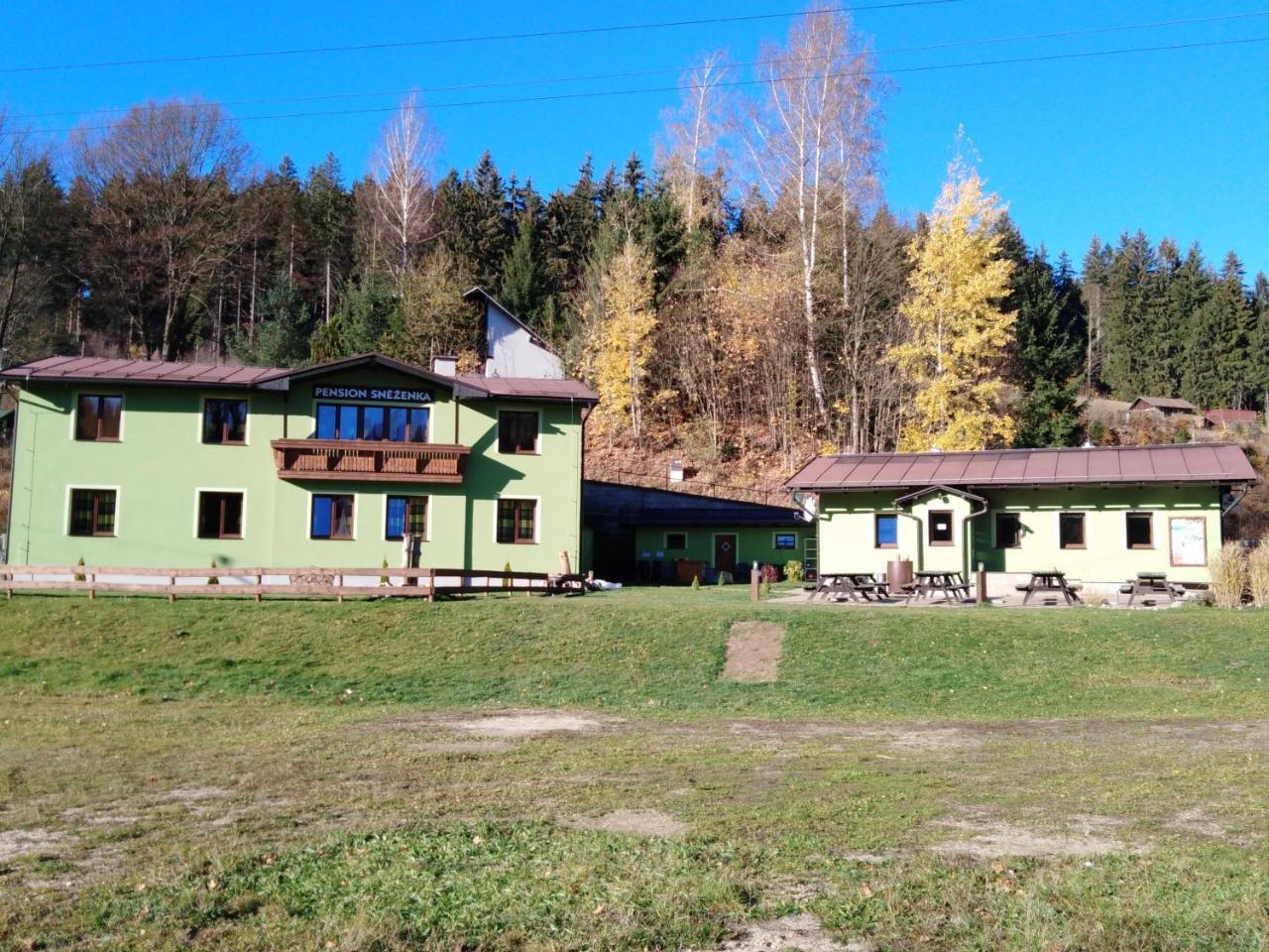 Sněženka Jiretin pod Bukovou
